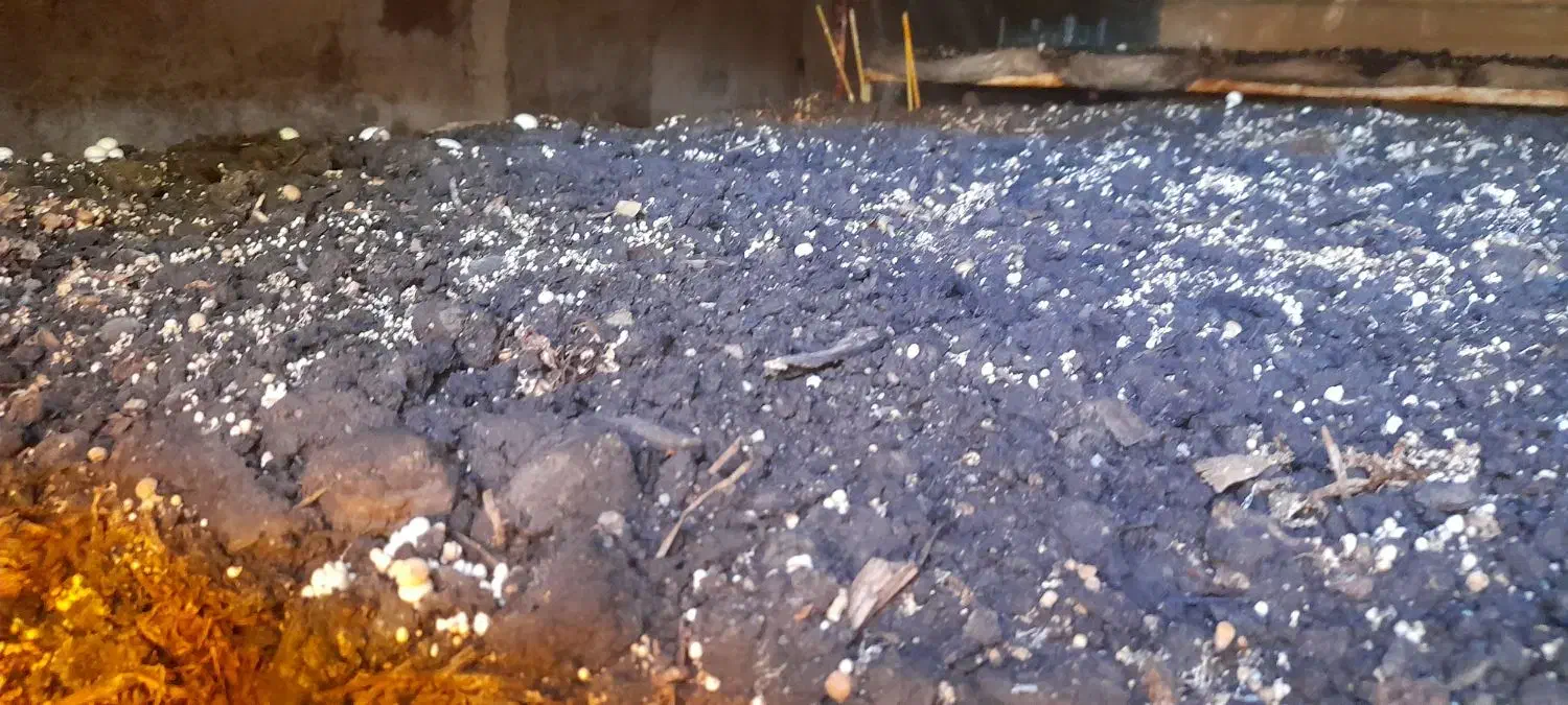 کمپوست|گل و گیاه طبیعی|مسجد سلیمان, |دیوار