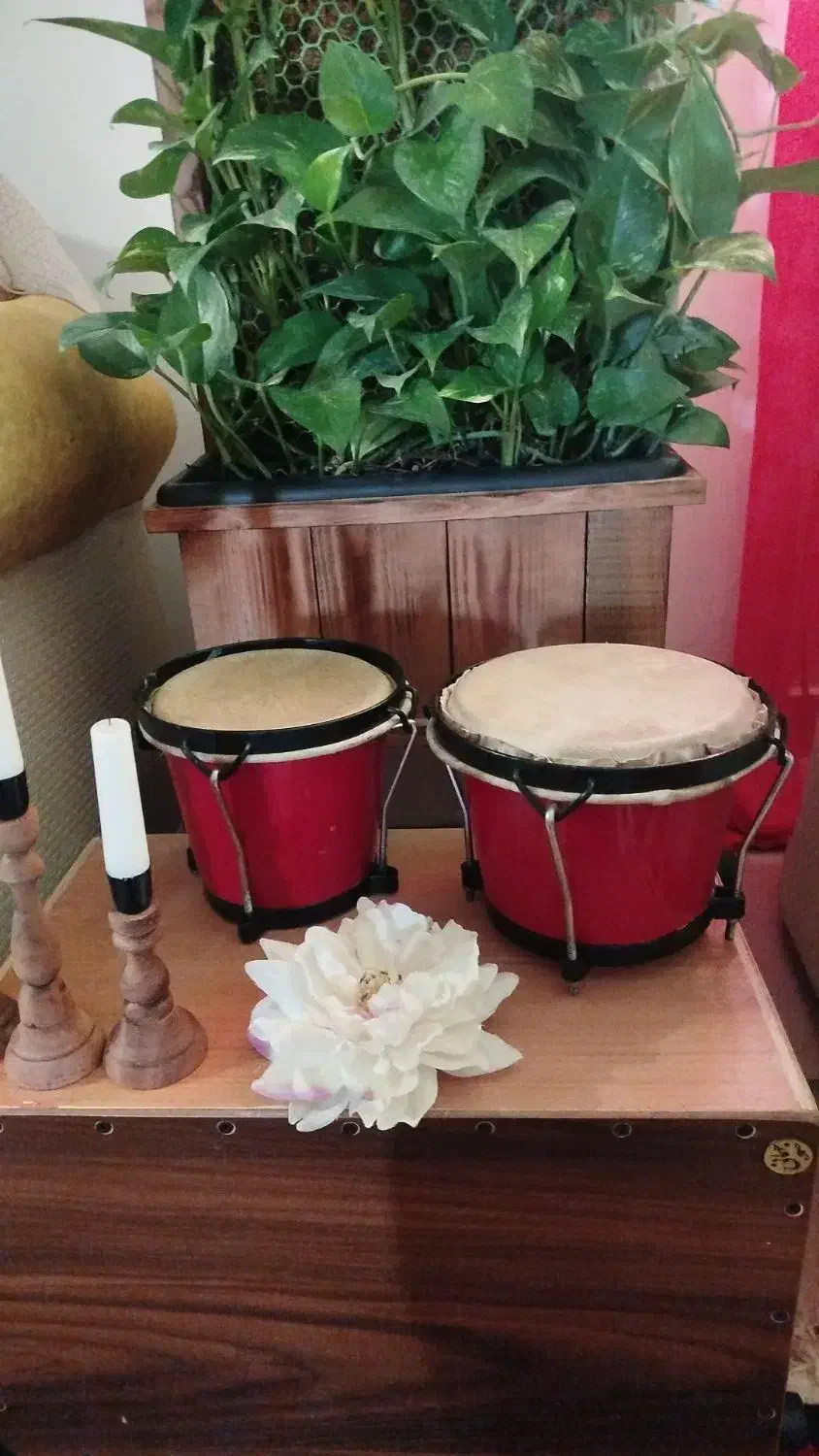 تومبا و بنگو بینگو با پایه های جداگانه|درام و پرکاشن|کرمان, |دیوار