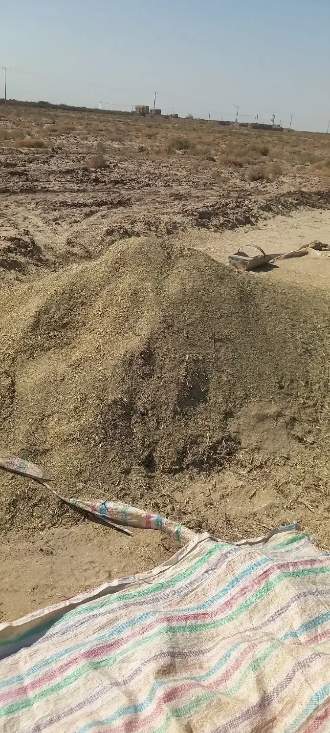 کاه خار فروشی|حیوانات مزرعه|شهرآباد, |دیوار