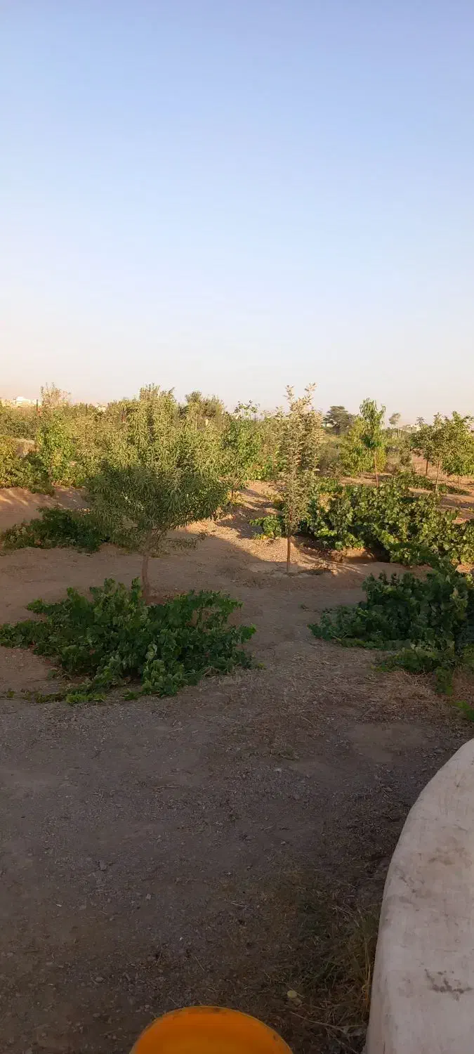 فروش باغ|فروش خانه و ویلا|لالجین, |دیوار