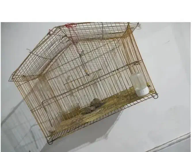 قفس پرنده|لوازم جانبی حیوانات|نیشابور, شهرک رسولی|دیوار