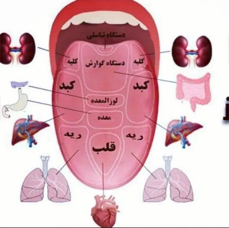 زبان‌شناسی‌ودرمان و.چای‌های‌متنوع‌درمانی|خدمات آرایشگری و زیبایی|جوانرود, |دیوار