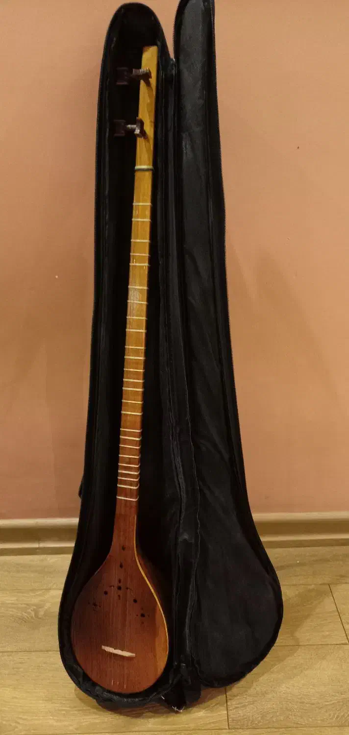 سه تار|سازهای سنتی|تهران, هروی|دیوار