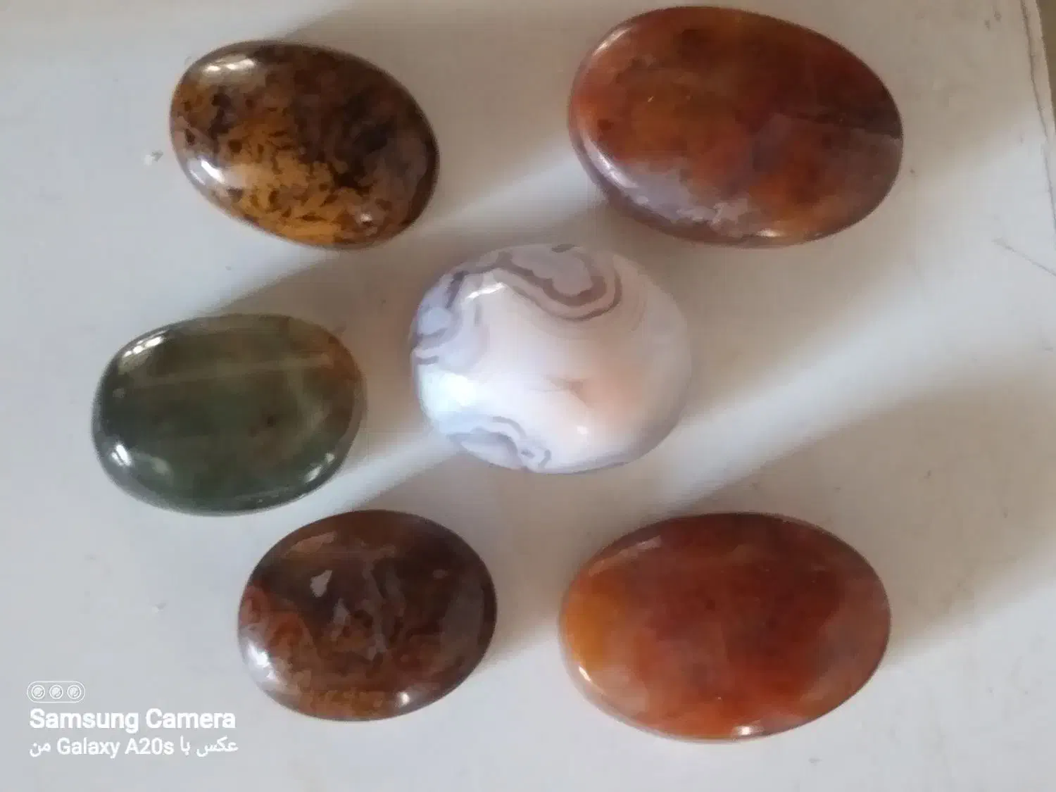 شجر پایزه|جواهرات|قائن, |دیوار