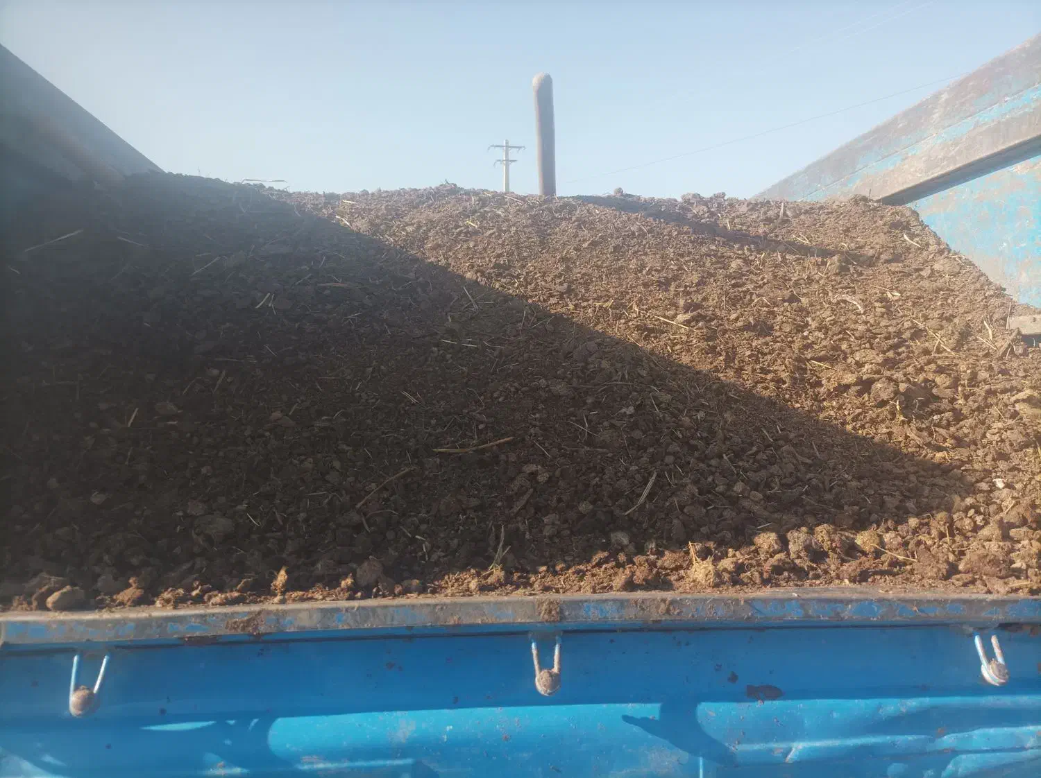 کود گوسفندی|خدمات باغبانی و درختکاری|تبریز, |دیوار