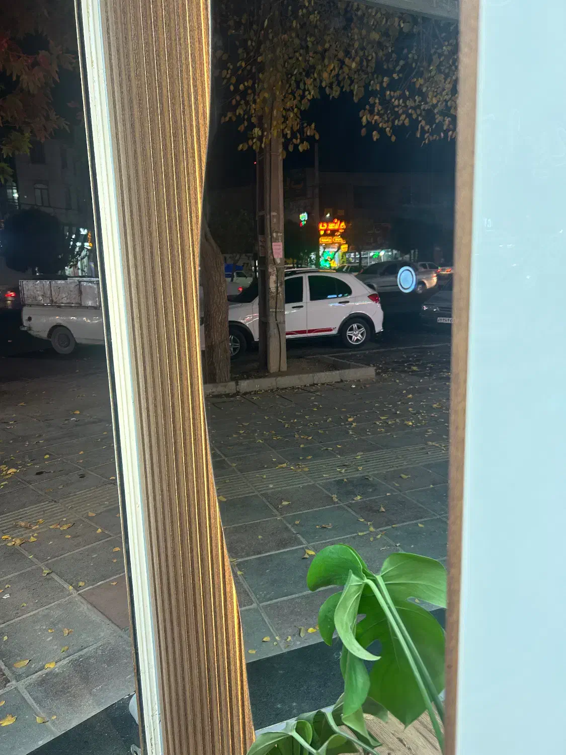 گیاهان مصنوعی و کربن وال سبز و رنگی|گل مصنوعی|صفادشت, |دیوار