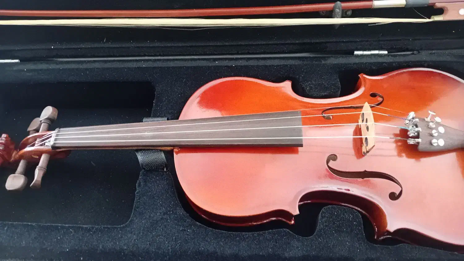 ویلن نو|ویولن|بجنورد, |دیوار