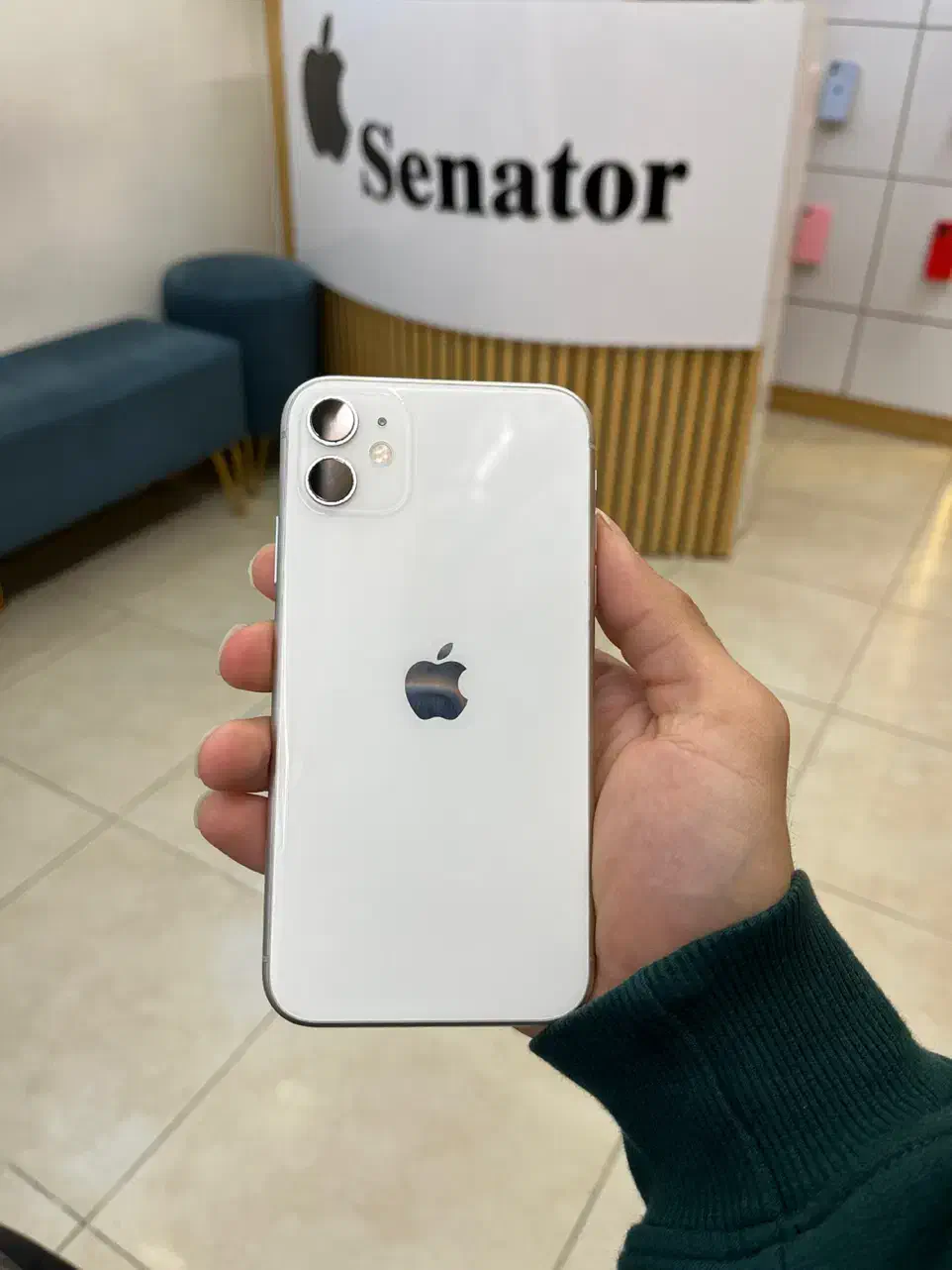 Iphone 11|موبایل|رشت, پیرسرا|دیوار