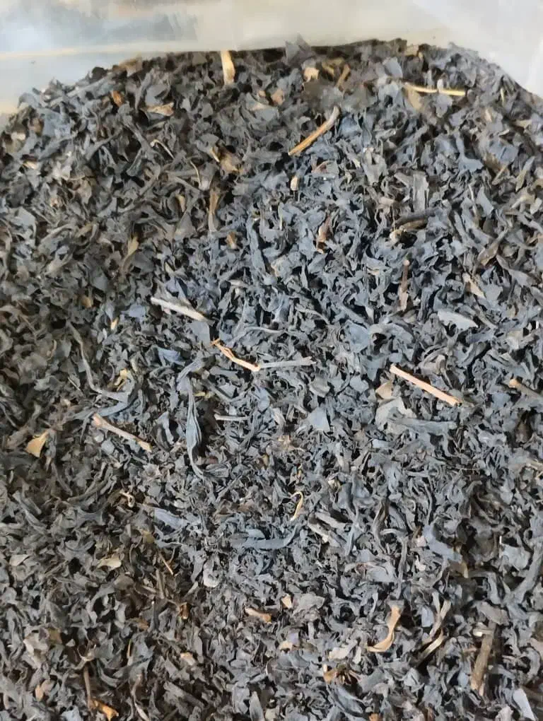 چای دستی ۱۴۰۴ لاهیجان|خوردنی و آشامیدنی|اصفهان, سرشبادران|دیوار