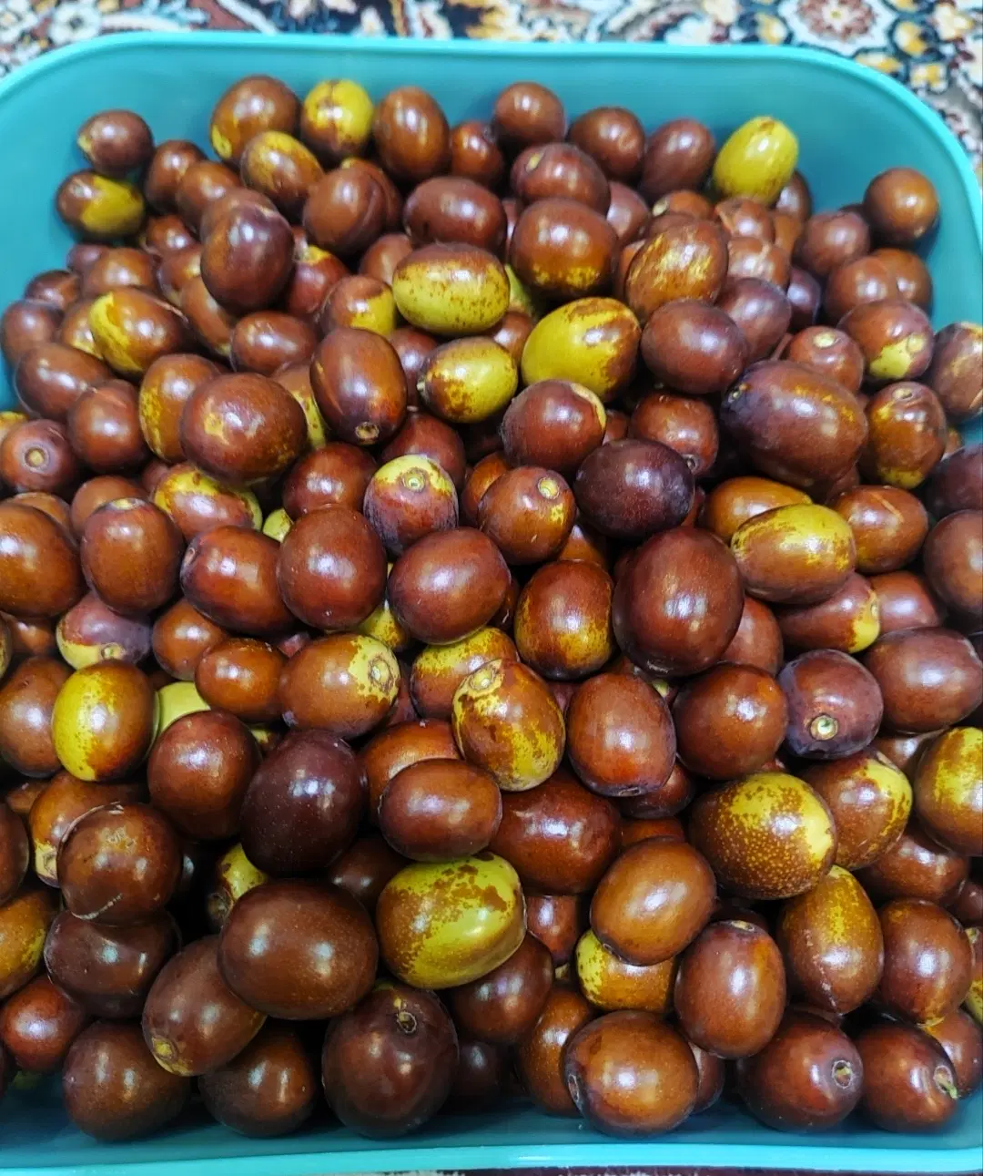 عناب|خوردنی و آشامیدنی|فردوس (خراسان), |دیوار
