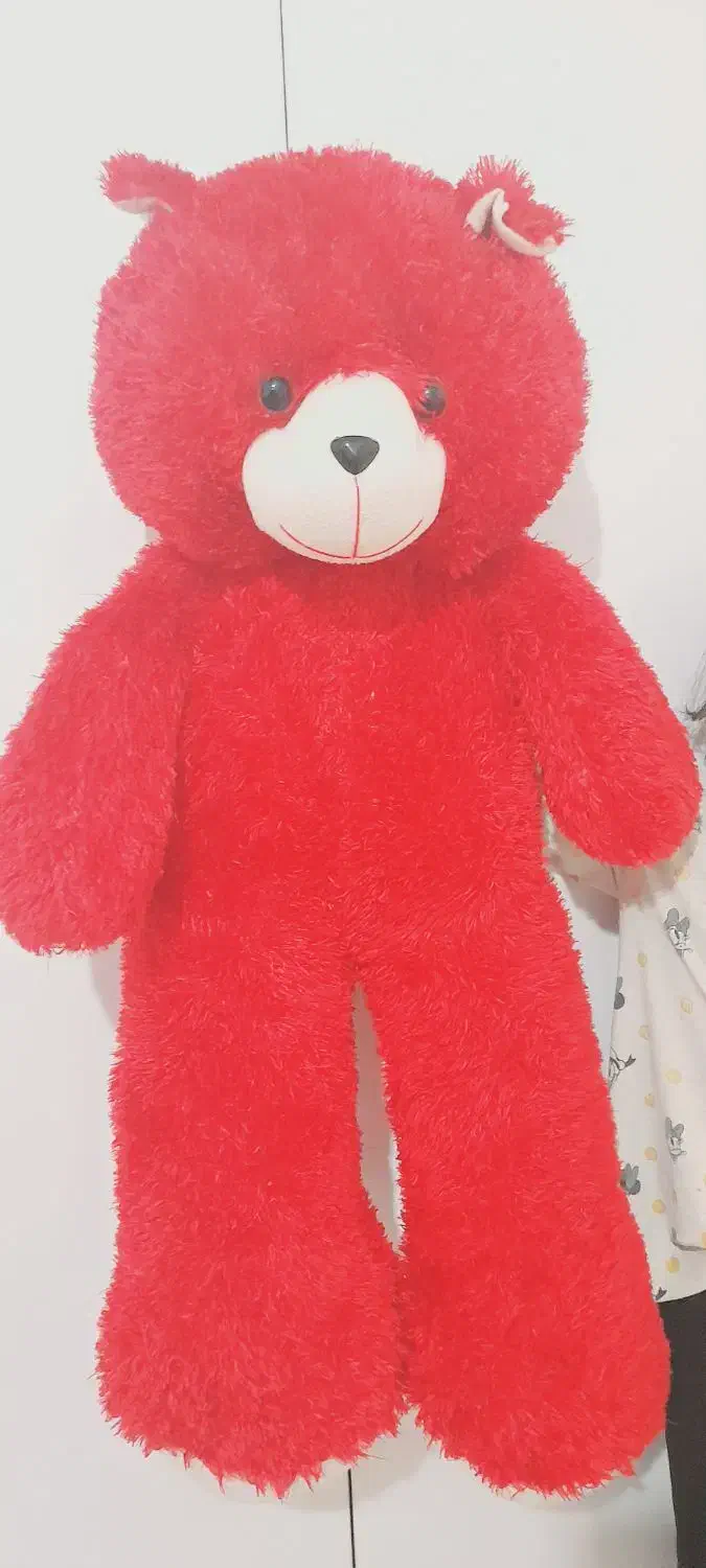 خرس بزرگ|اسباب‌بازی بچه|مهاباد (آذربایجان غربی), |دیوار