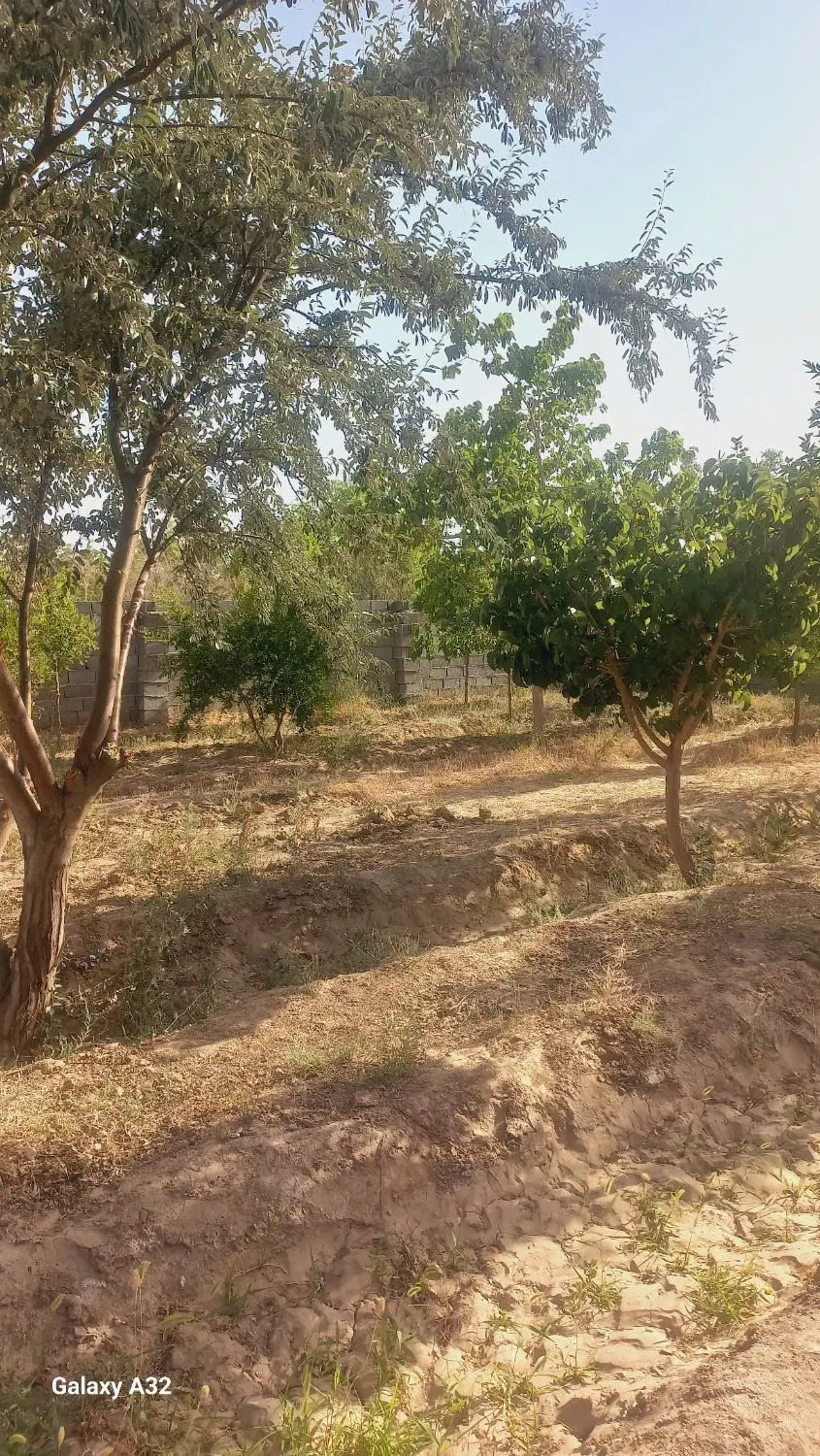 تصویر 4