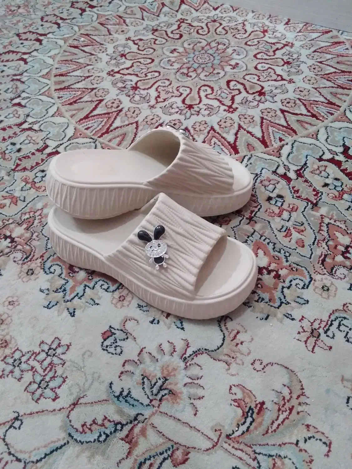 کیف|کیف، کفش، کمربند|بیرجند, |دیوار