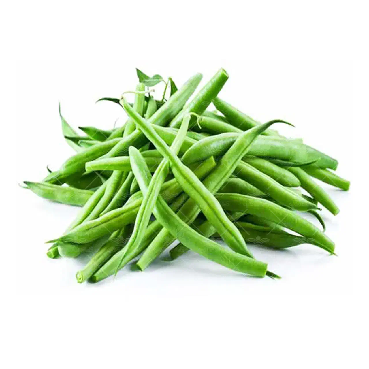 لوبیا سبز|حراج|قم, ولیعصر|دیوار