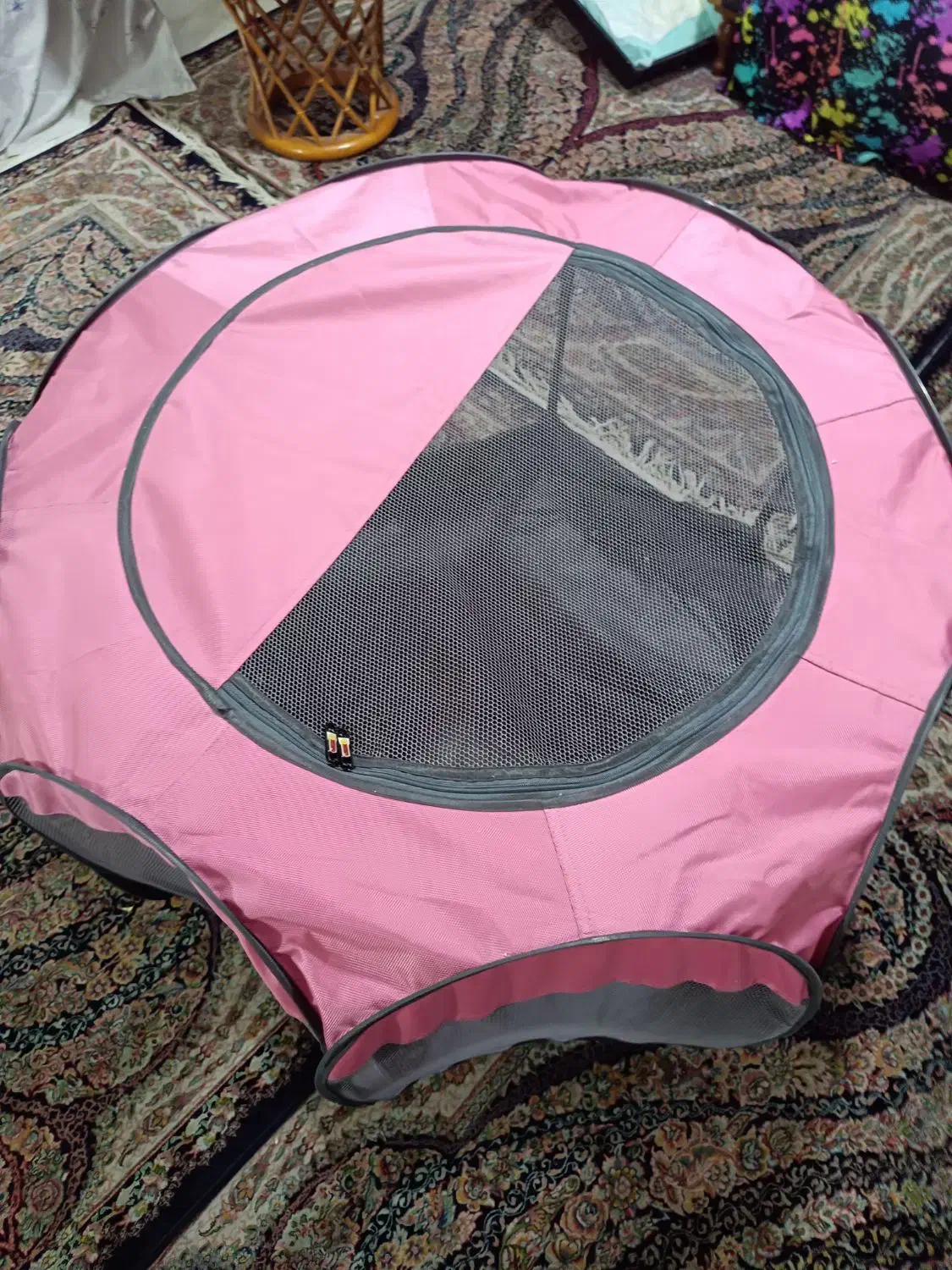 پارک سگ|لوازم جانبی حیوانات|شهریار, شهرک وائین|دیوار