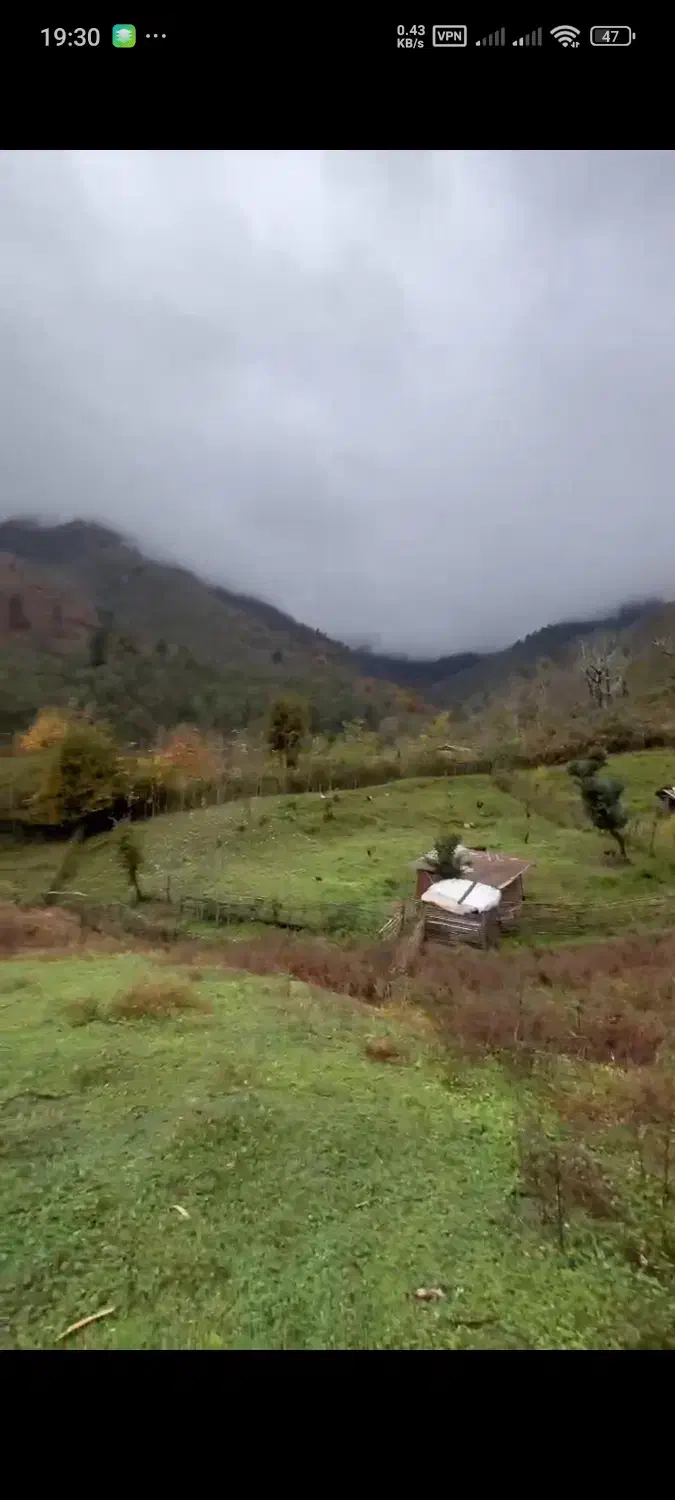 زمین تمام مسکونی تنیان|فروش زمین و ملک کلنگی|گوراب زرمیخ, |دیوار