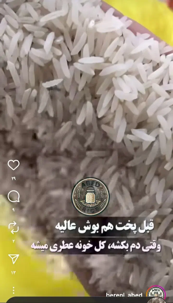 برنج ایرانی/هاشمی/طارم|عمدهفروشی|گیلان غرب, |دیوار