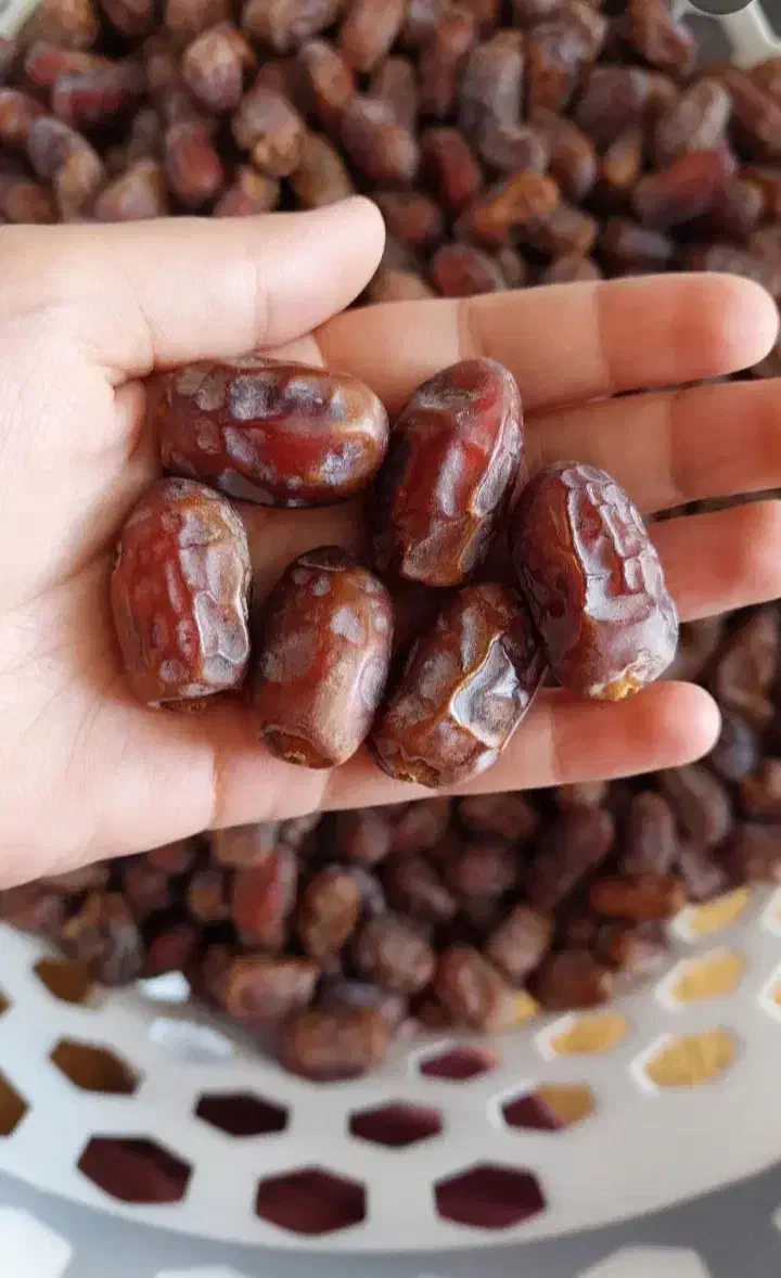 خرما استعمران گنظار  وخضراوی|حراج|اهواز, پردیس دو|دیوار
