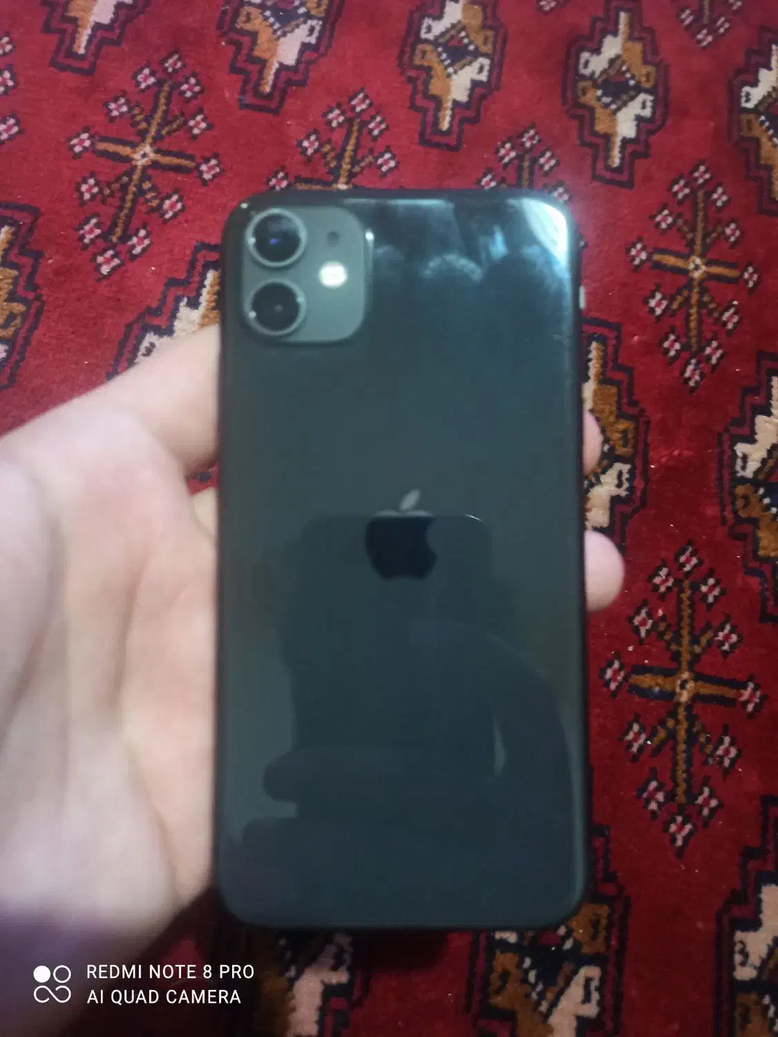اپل iPhone 11|موبایل|زاهدان, |دیوار