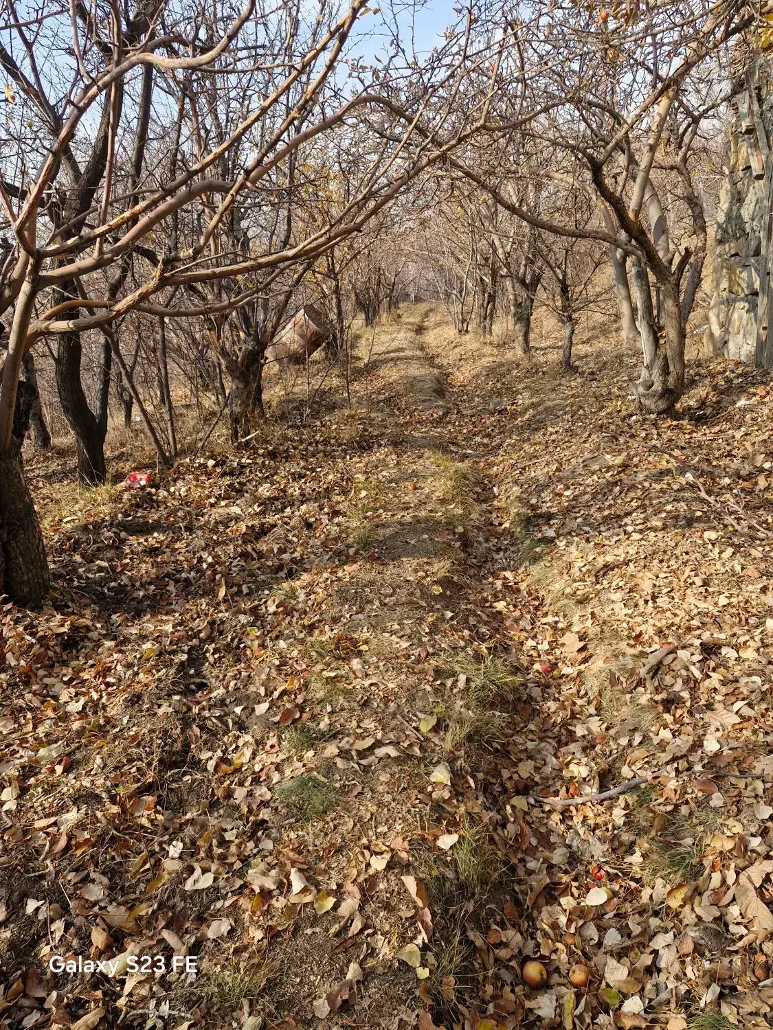 باغ،در جای بسیار خوش آب و هوا|فروش زمین و ملک کلنگی|آسارا, |دیوار