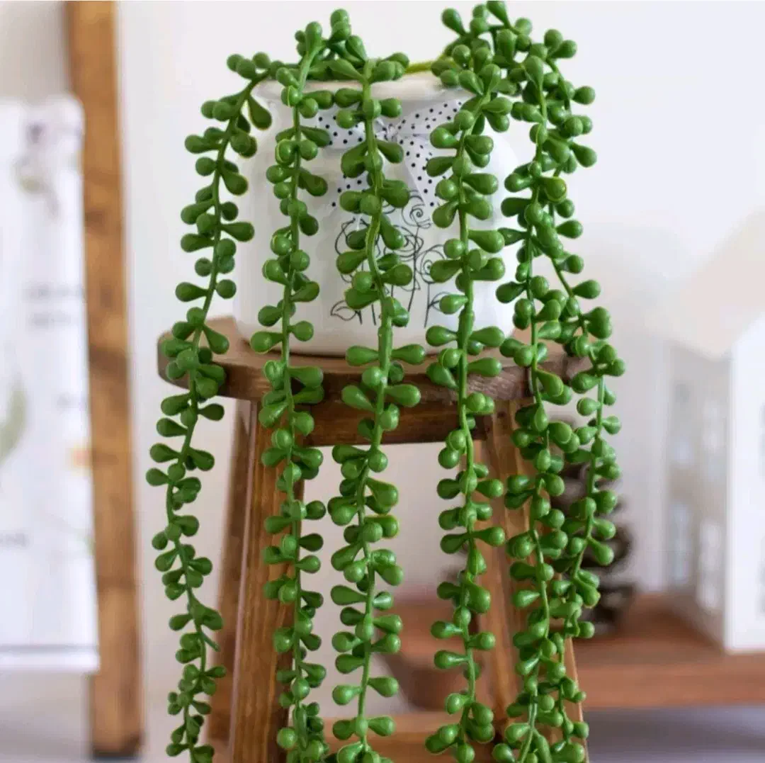 انواع آویز شمشاد سبز و قاصدک های رنگی جذاب|گل مصنوعی|کرج, فاز ۴ مهرشهر|دیوار