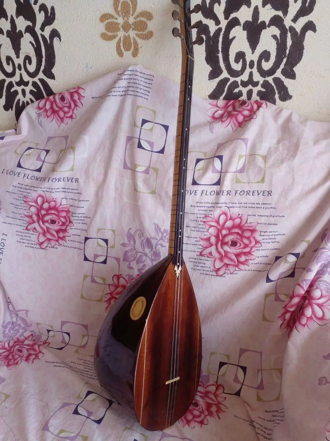 دسته بلند|سازهای سنتی|اردبیل, |دیوار