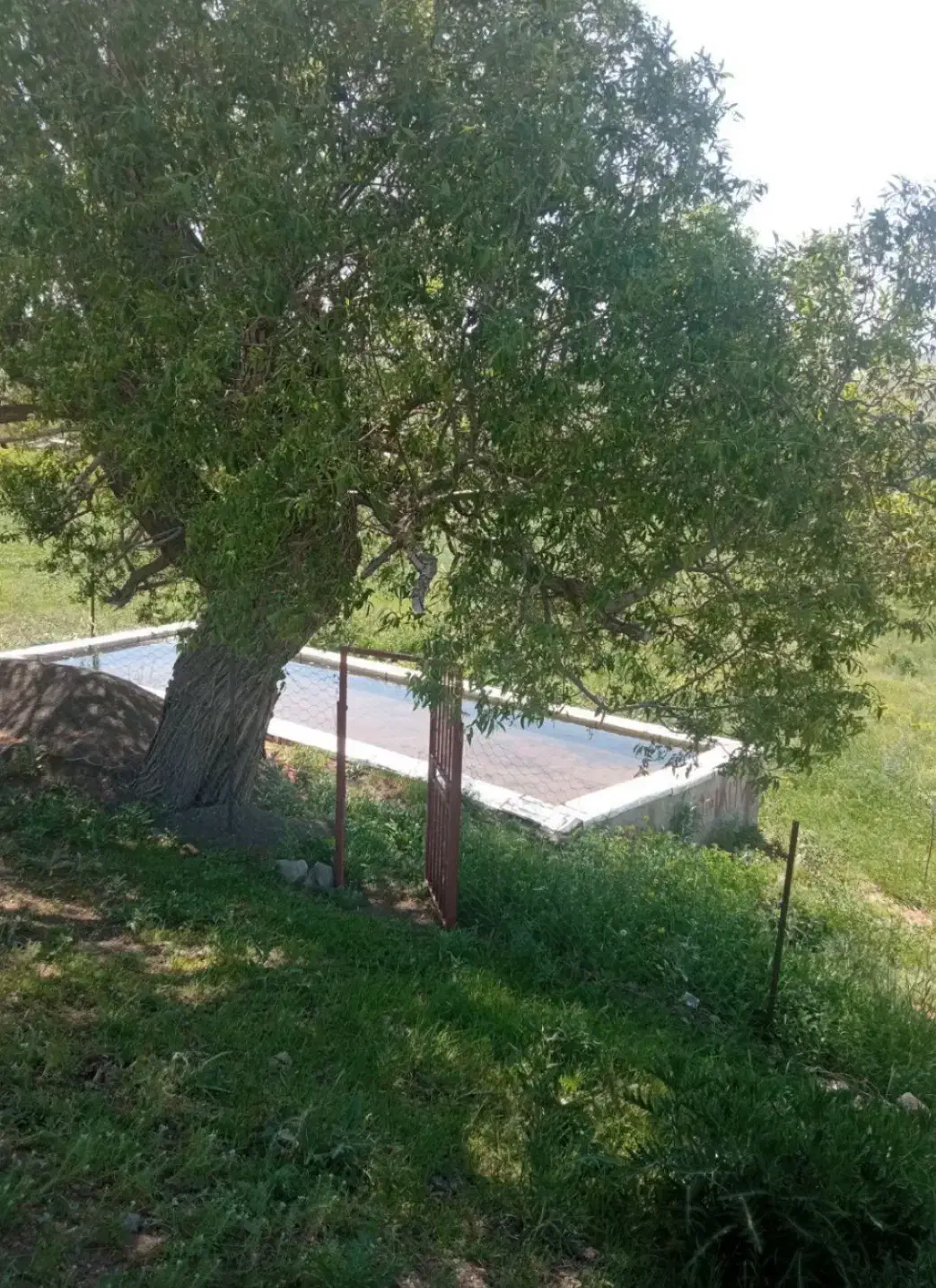 فروش باغ|فروش دفتر صنعتی، کشاورزی، تجاری|خلخال, |دیوار