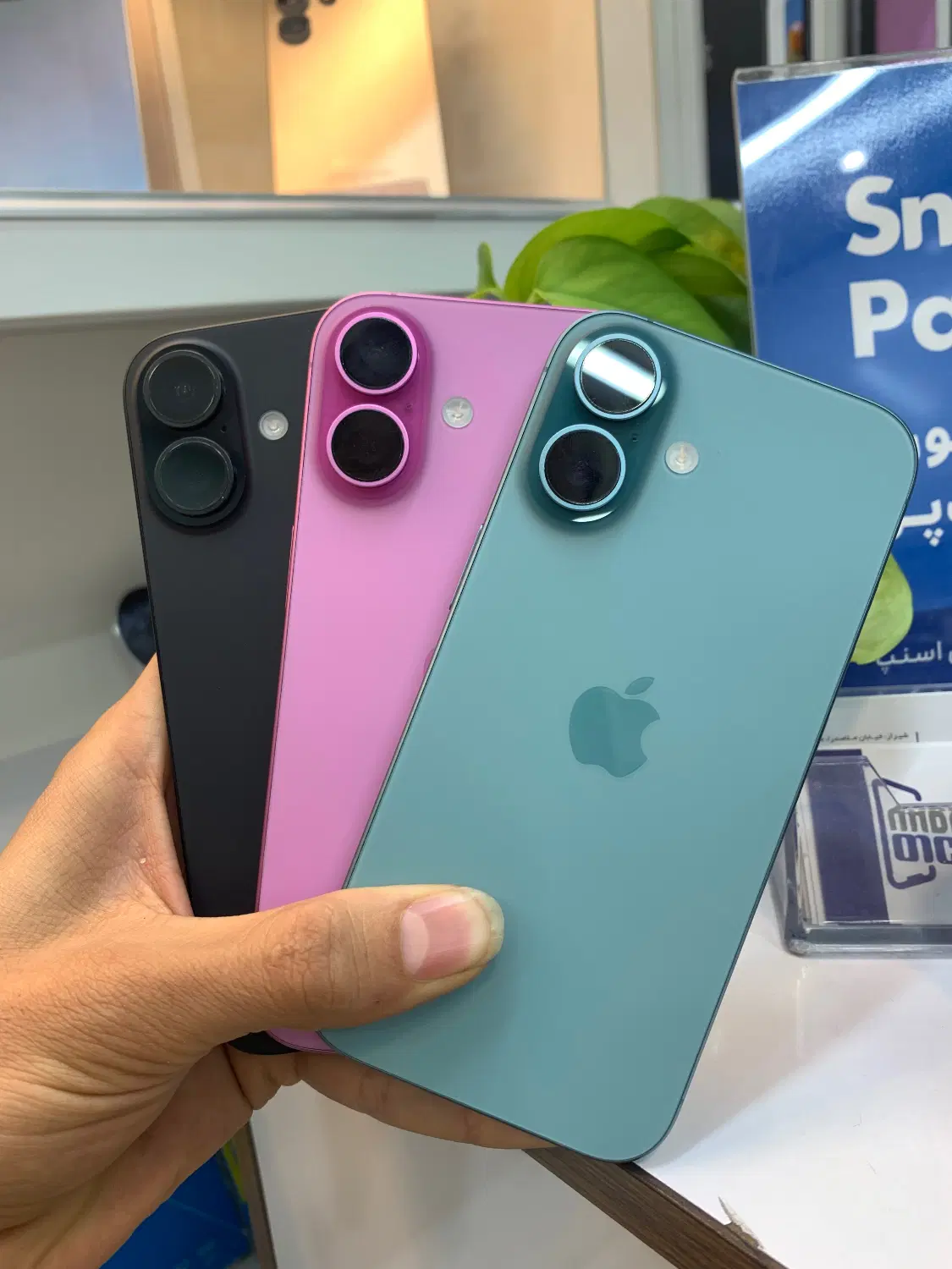 iPhone 16 Normal|موبایل|شیراز, ملاصدرا|دیوار