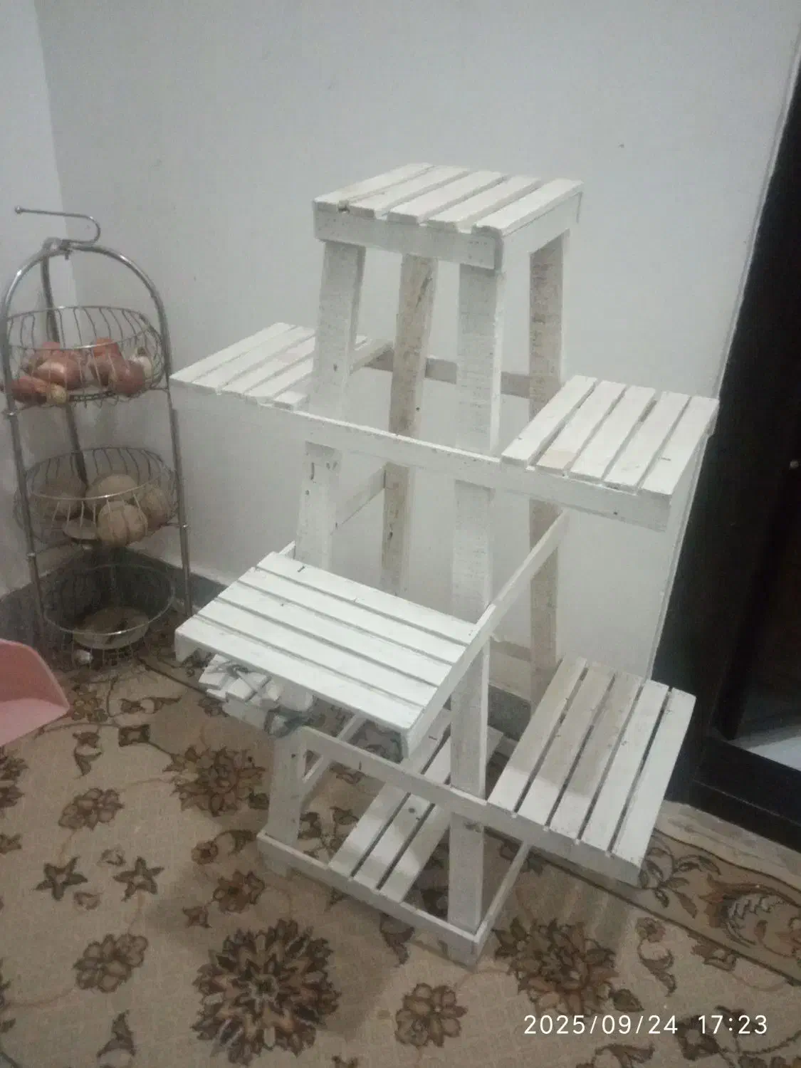 پایه گل|گل و گیاه طبیعی|مشهد, کشاورز|دیوار