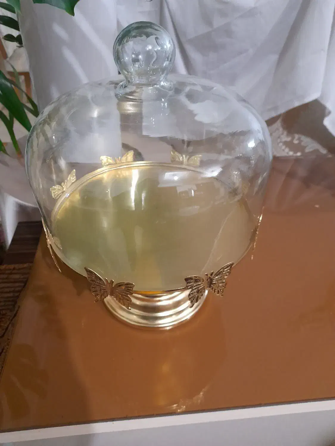 ظرف کیک|ظروف سرو و پذیرایی|تربت‌حیدریه, قائم|دیوار