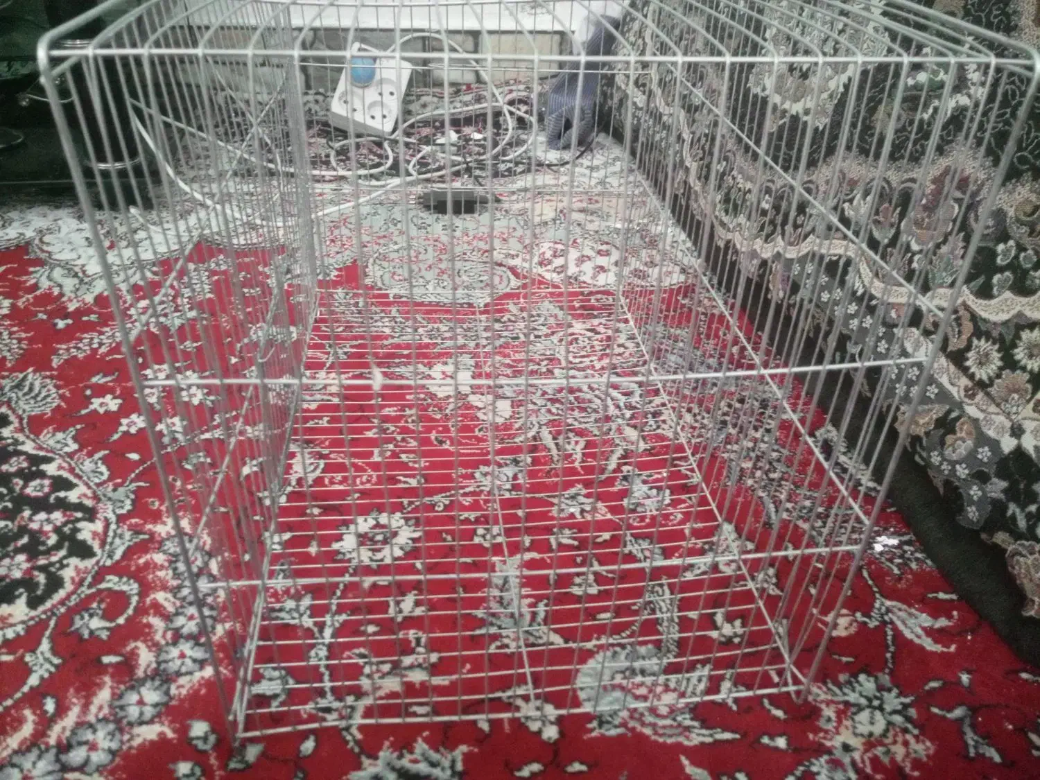 قفس پرنده|لوازم جانبی حیوانات|شیراز, شهدای شهرک سعدی|دیوار