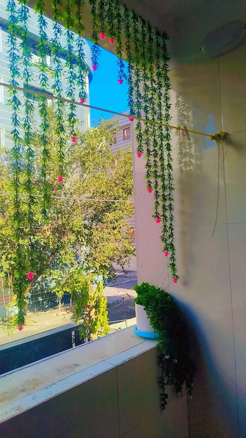 پخش شمشادپرده ای تک وعمده قیمت پخش گل مصنوعی دکوری|گل مصنوعی|تهران, کیانشهر|دیوار