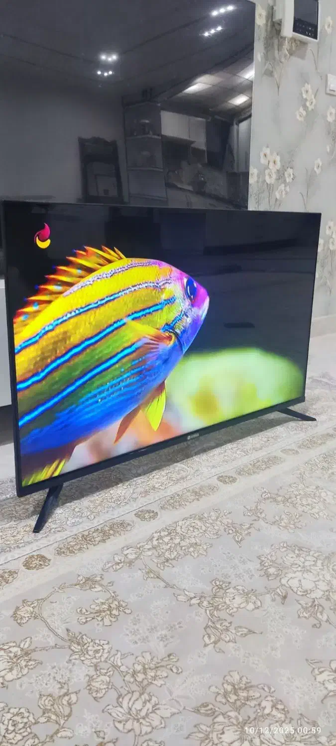 تلویزیون اسنوا 42 اینچ دهگلان|تلویزیون و پروژکتور|سنندج, |دیوار