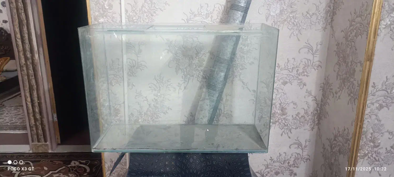 آکواریوم|ماهی|گلستان (تهران), |دیوار