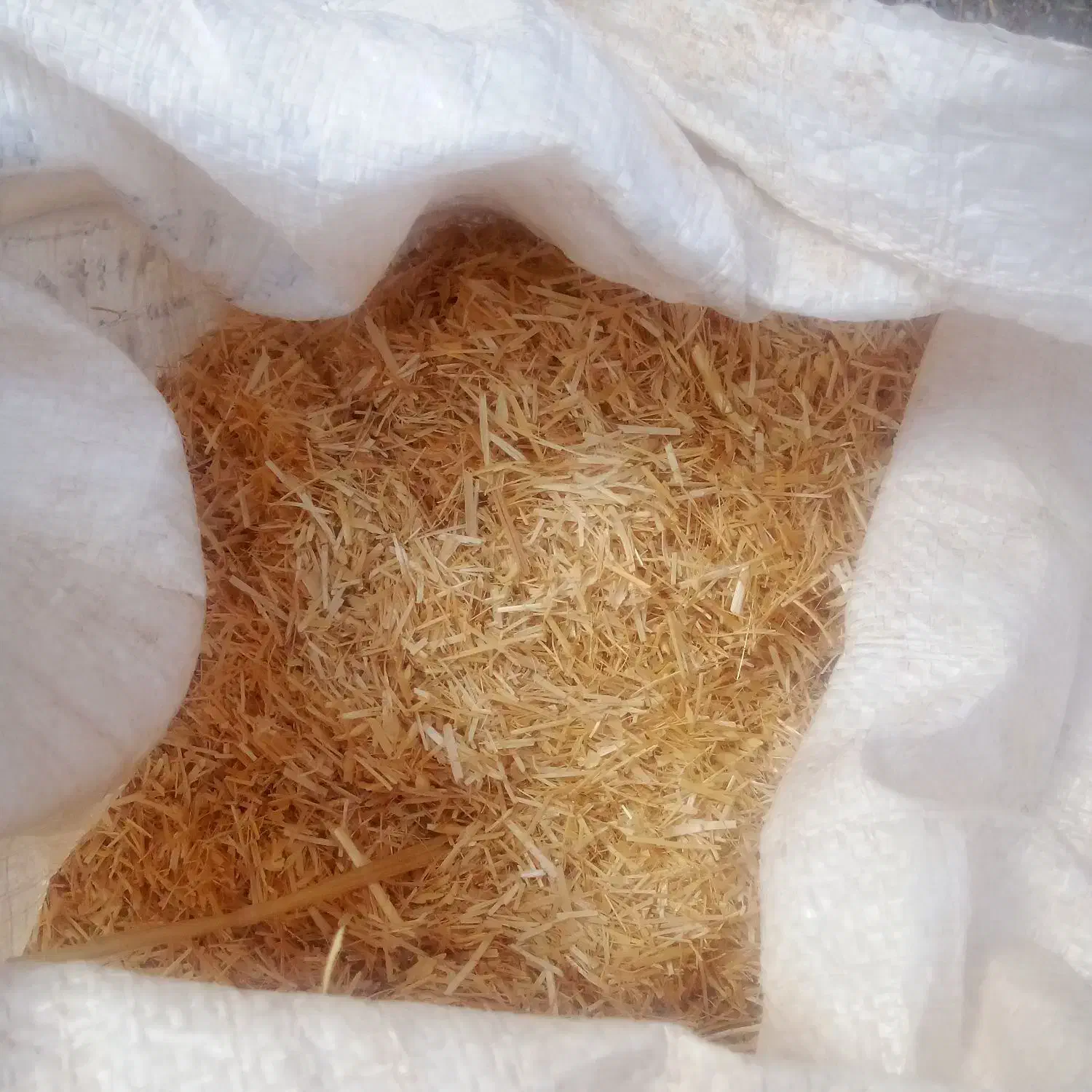 کاه گندم|لوازم جانبی حیوانات|نیشابور, مازول|دیوار