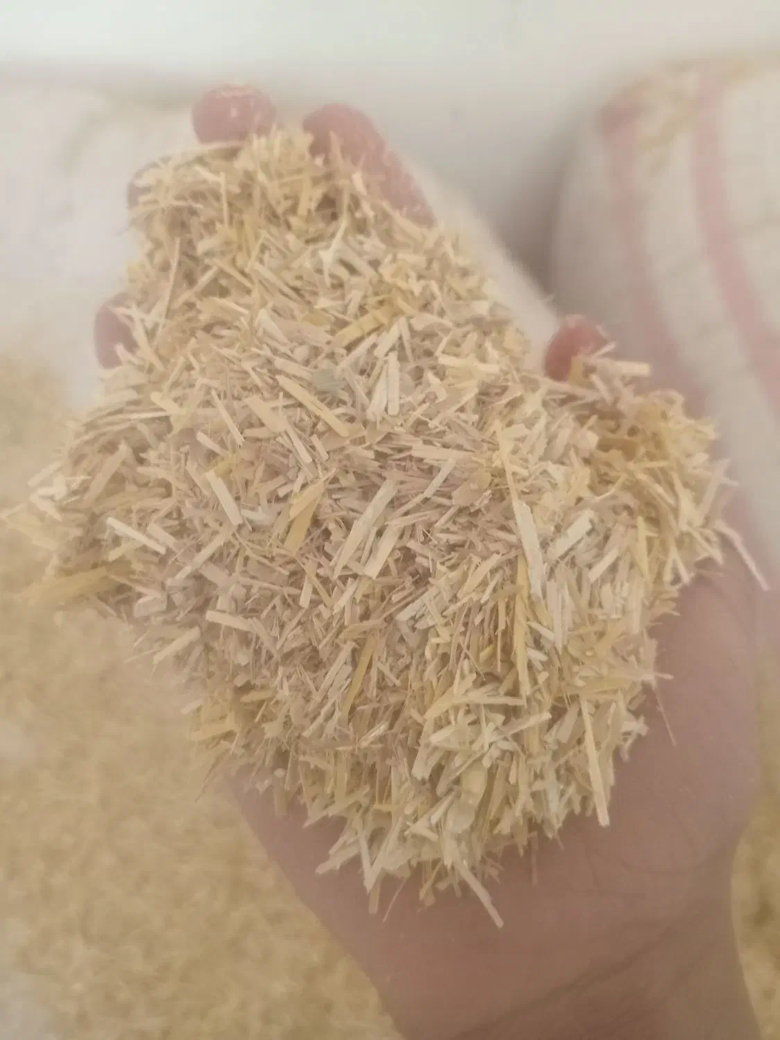 کاه گندم|حیوانات مزرعه|نگین شهر, |دیوار