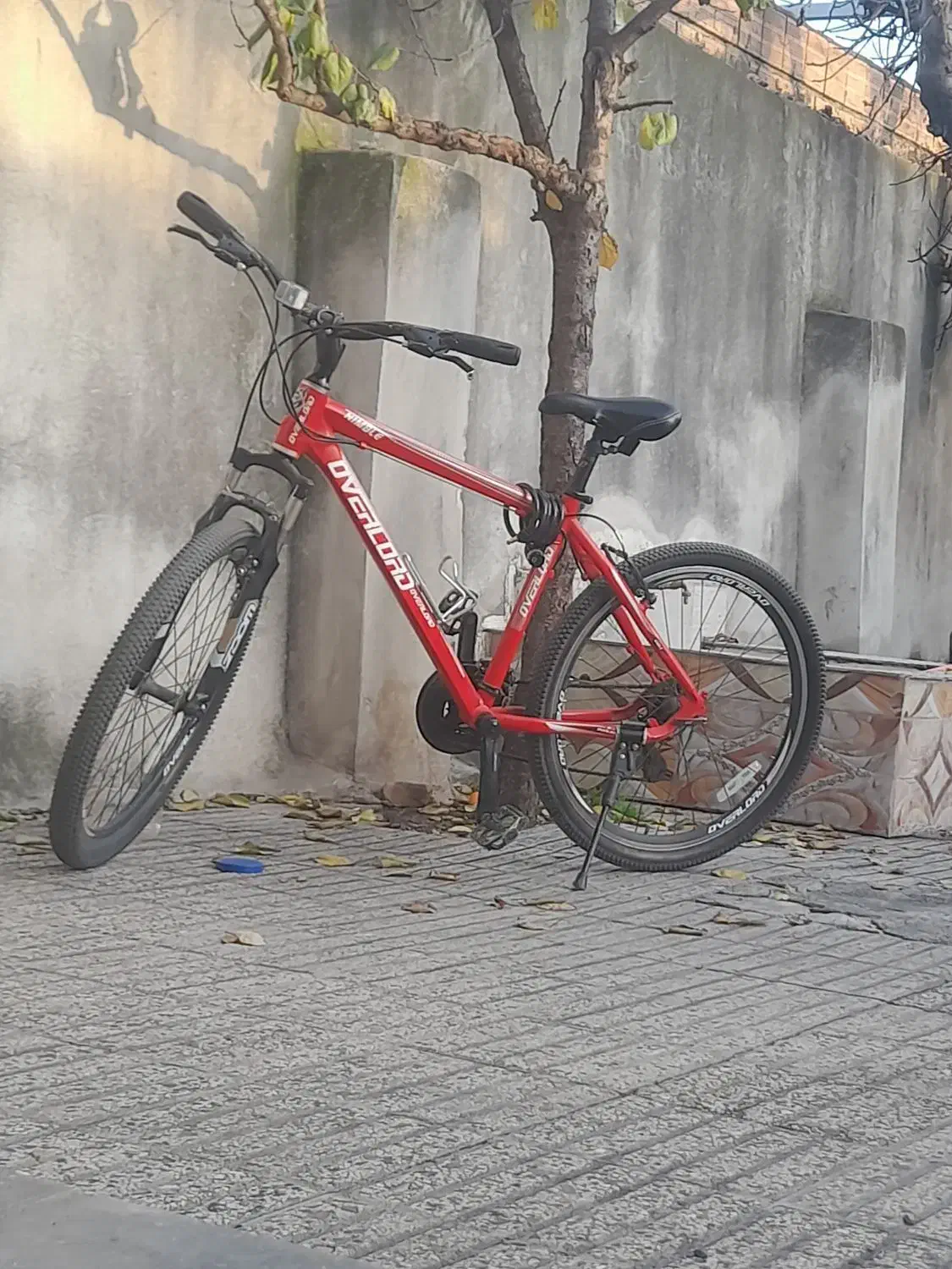 دوچرخه اورلورد ۲۶|دوچرخه، اسکیت، اسکوتر|فاضل آباد, |دیوار