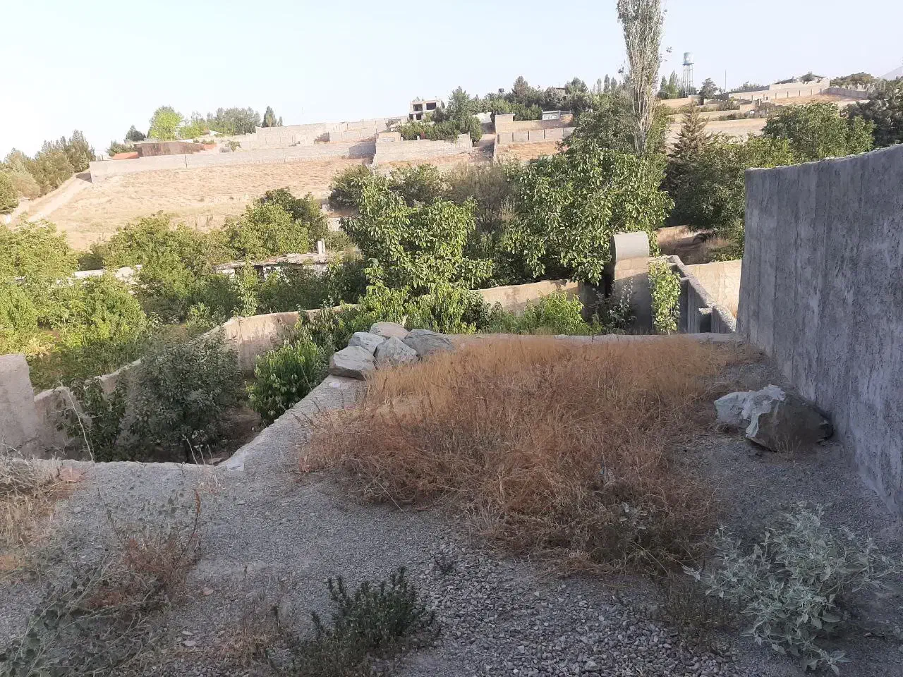 باغچه ۲۶۰ متری|فروش زمین و ملک کلنگی|هشتگرد, کوشک زر|دیوار