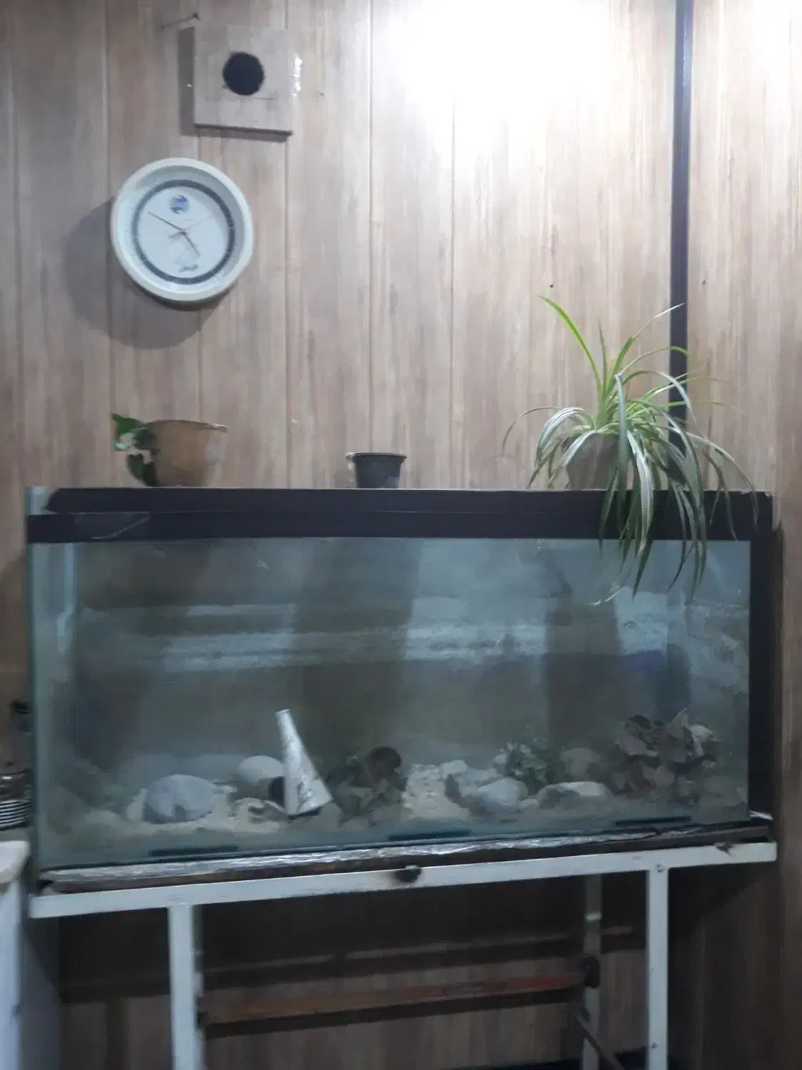 اکواریوم شیشه سکوریت چسب خارجی ۷۰ سانت در ۱۵۰|لوازم جانبی حیوانات|بجنورد, |دیوار