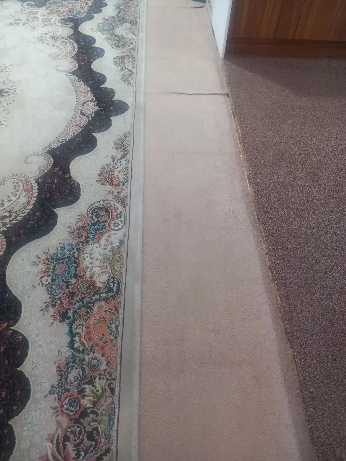 قالی اتاق کودک و پالاز موکت|فرش|خرمشهر, |دیوار