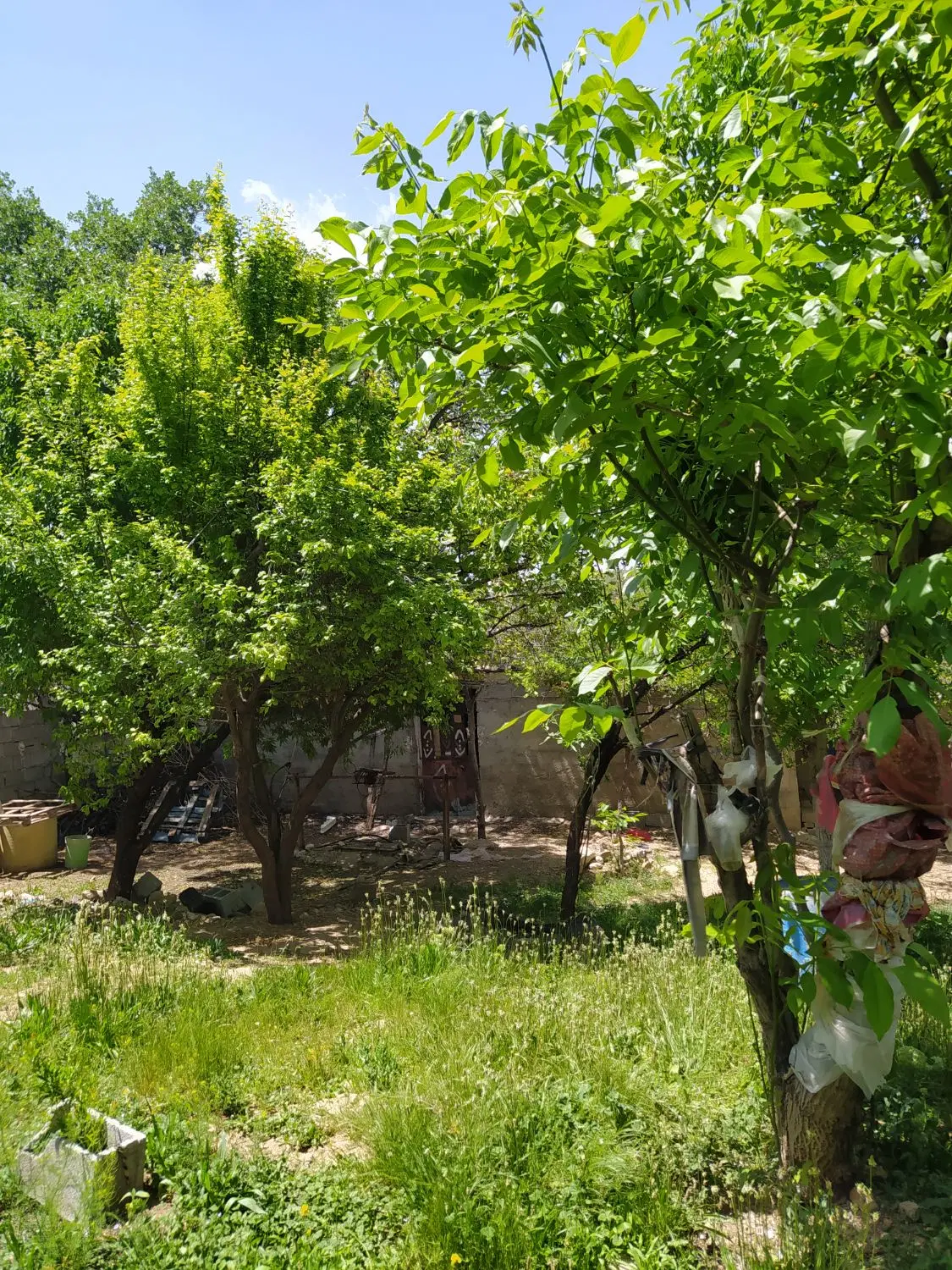 تصویر 3
