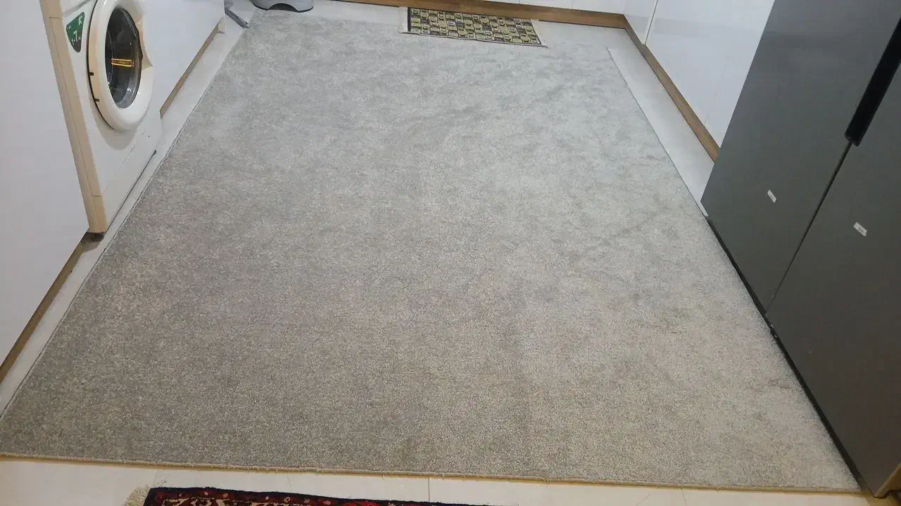 پالاز موکت فرشینه|پادری|همدان, |دیوار