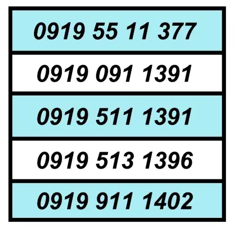 0919.23.26.206|سیمکارت|تهران, اکباتان|دیوار