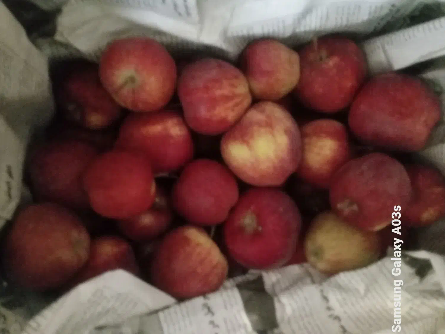 سیب|خوردنی و آشامیدنی|جلفا, |دیوار