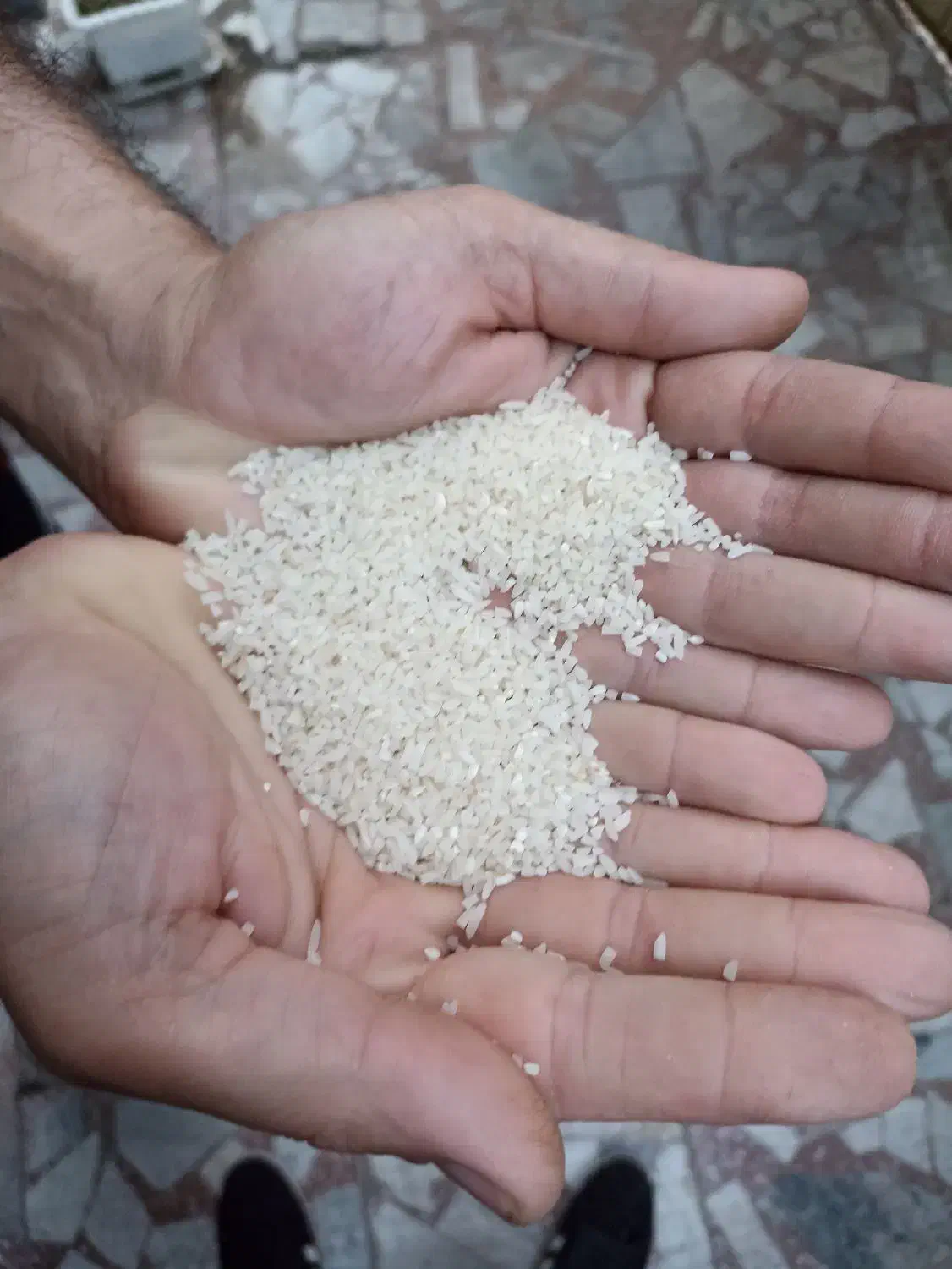 برنج نیم دانه|خوردنی و آشامیدنی|آمل, |دیوار