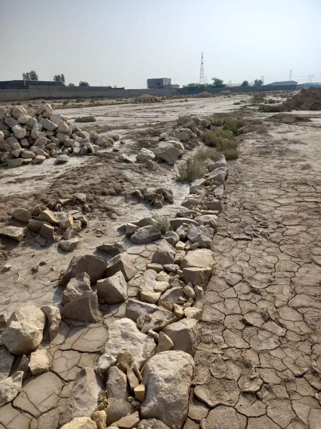 5000 زمین|فروش دفتر صنعتی، کشاورزی، تجاری|بوشهر, |دیوار