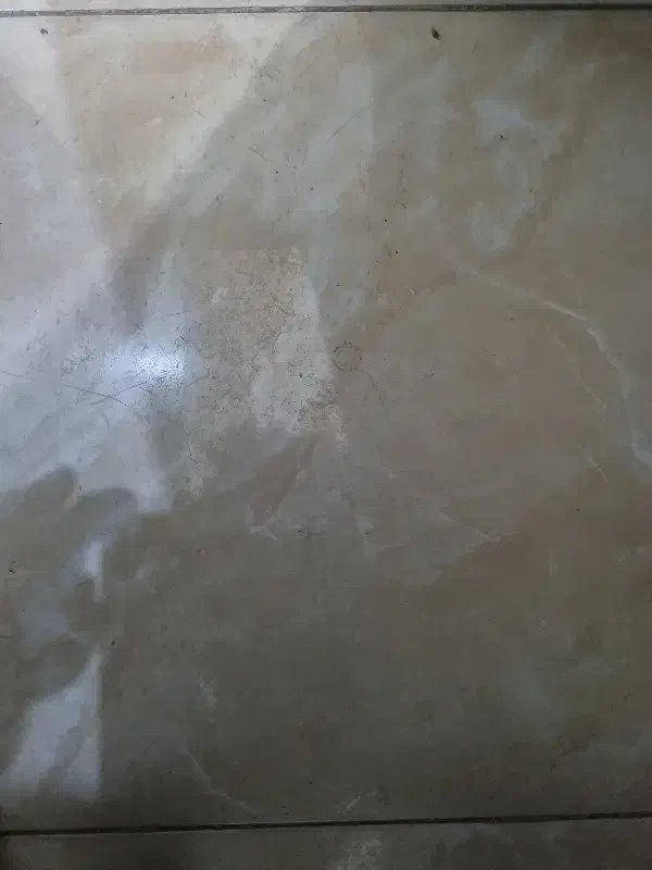 زمین جنوبی ۱۶۰متر مسکونی|فروش زمین و ملک کلنگی|اصفهان, صدف|دیوار