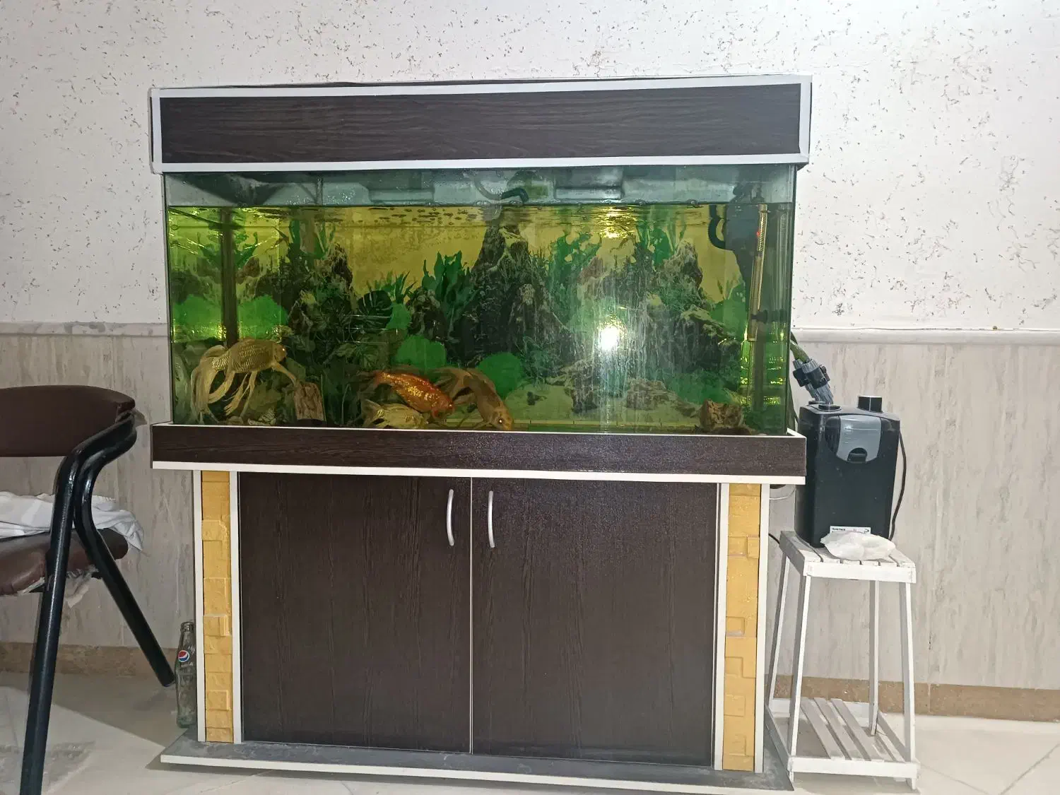 آکواریوم|ماهی|تربت‌حیدریه, فرمانداری|دیوار