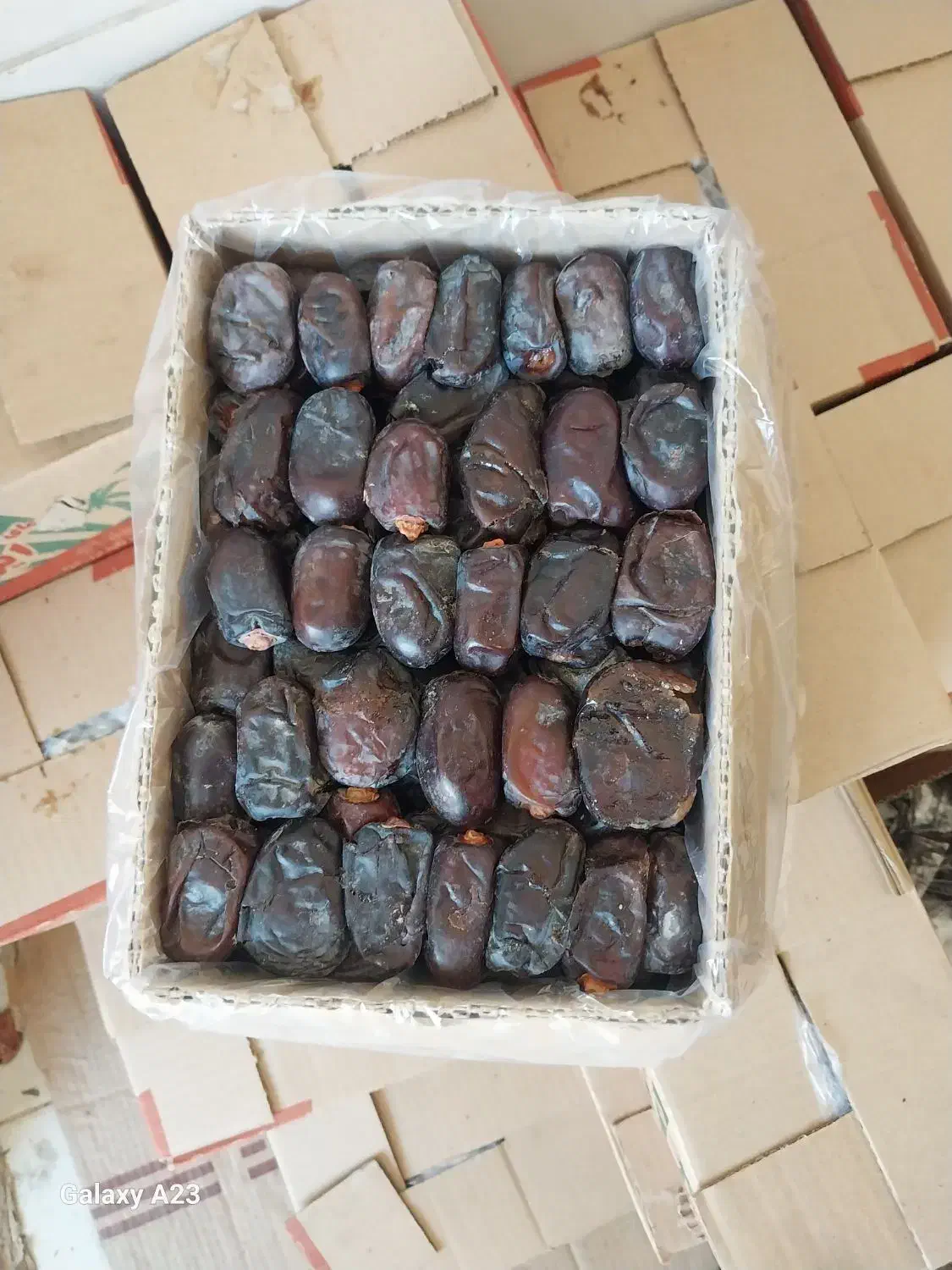 خرما|خوردنی و آشامیدنی|حمیدیا, |دیوار