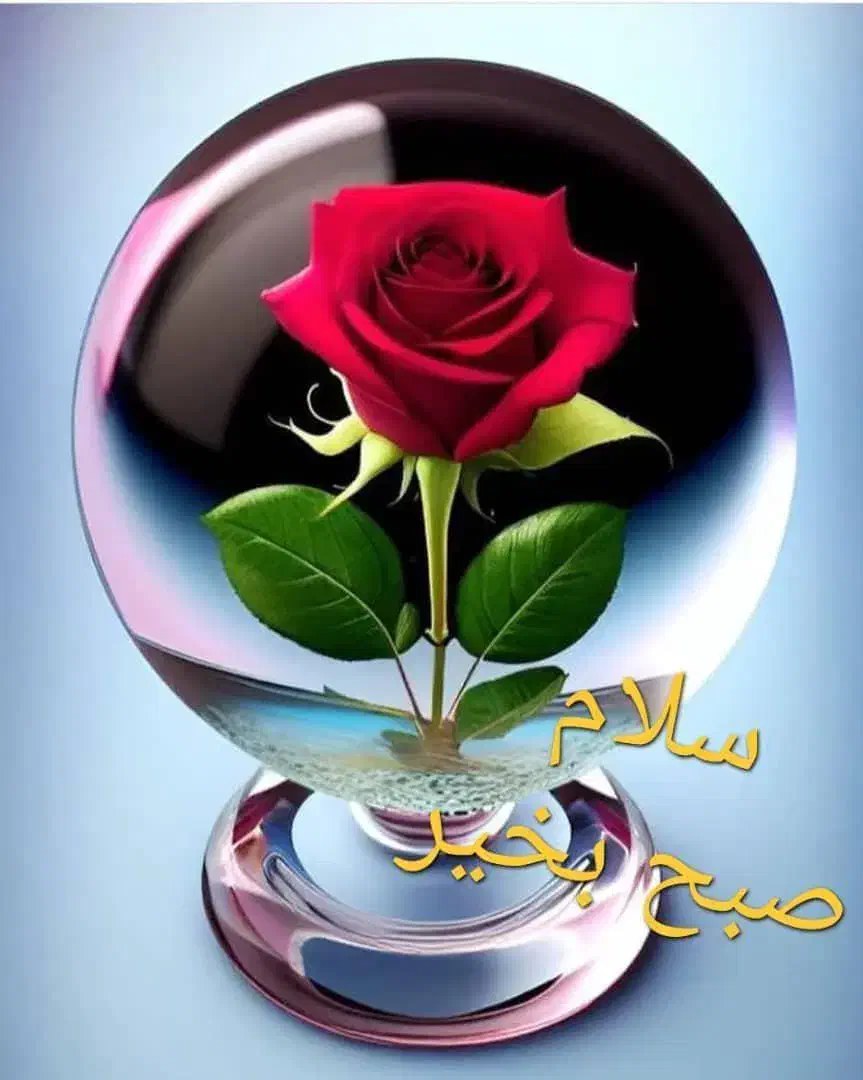 سرکه چوب|خدمات باغبانی و درختکاری|مشهد, کوشک مهدی|دیوار